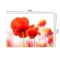 Preview: Tischset Platzset abwaschbar Klatschmohn von ARTIPICS